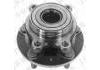 Wheel Hub Bearing:XCNCB300-180-00A1