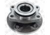 Wheel Hub Bearing:E130310J-G0200