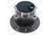 Wheel Hub Bearing:100000924-001