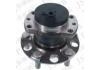 Wheel Hub Bearing:011-1017-02510